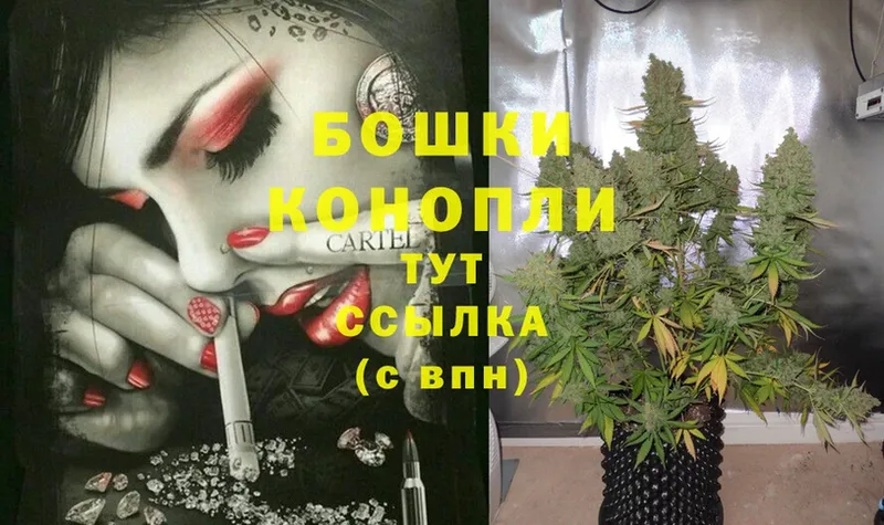 Бошки марихуана White Widow  Элиста 